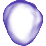 Prolaio logo